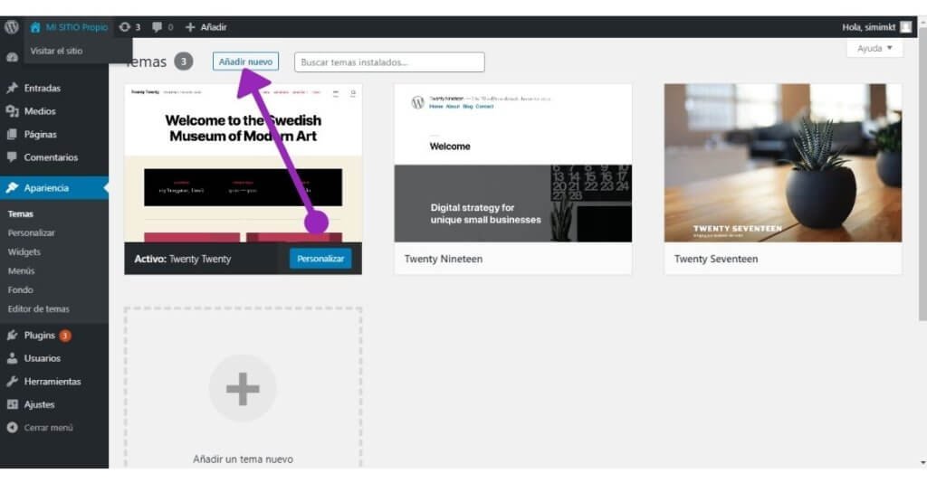 19 pasos para Crear sitio web desde cero, sin saber programar 36 Anadir nueva tema en wordpress 1