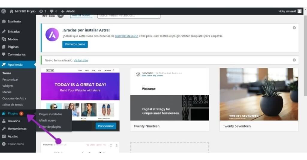19 pasos para Crear sitio web desde cero, sin saber programar 39 Anadir un plugin en wordpress