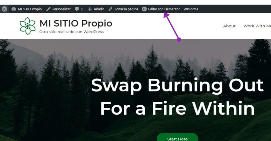 19 pasos para Crear sitio web desde cero, sin saber programar 48 Editar mi sitio web con elementor