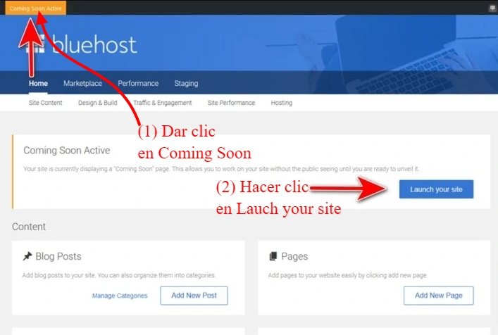Crear un sitio web por tu cuenta propia 23 Publicar tu sitio web para que sea visible para todos